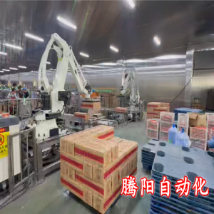 箱裝食品碼垛機(jī)器人代替人工車間看不到搬運(yùn)工